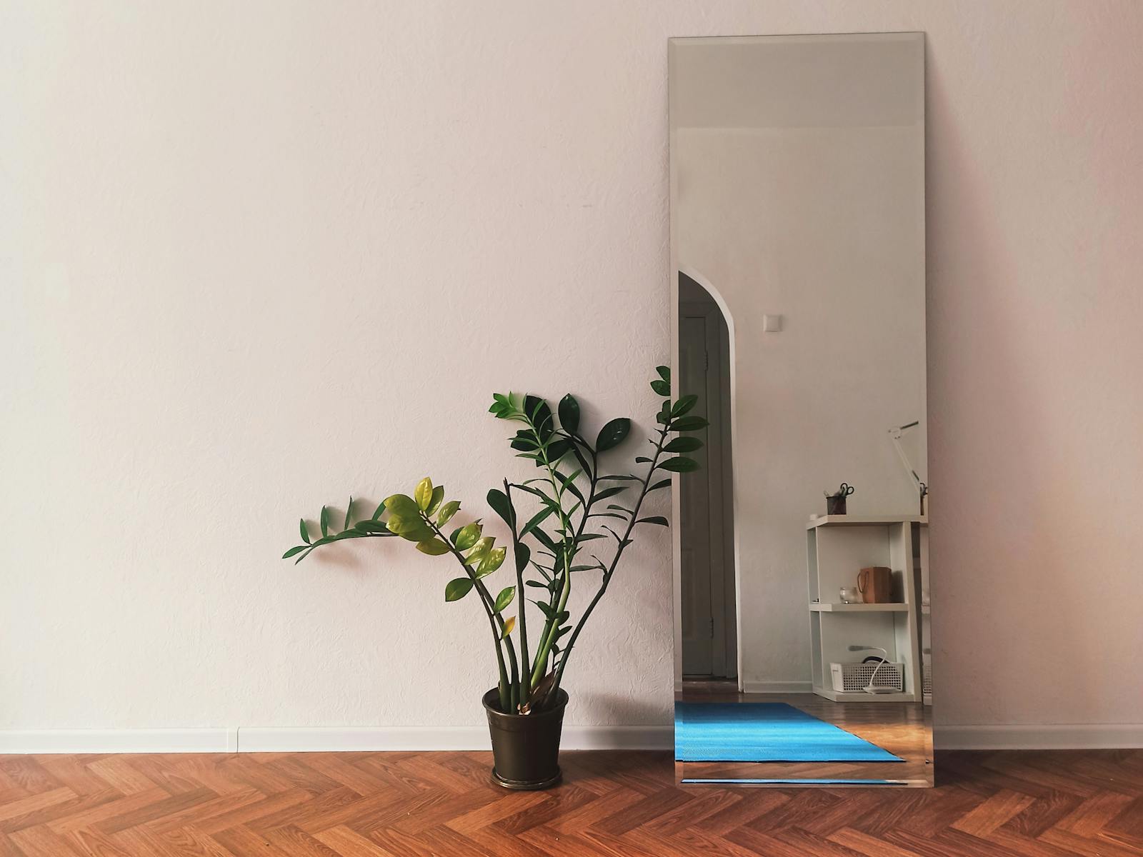 Quiet studio with mirror, wood floor and a plant — Engage class